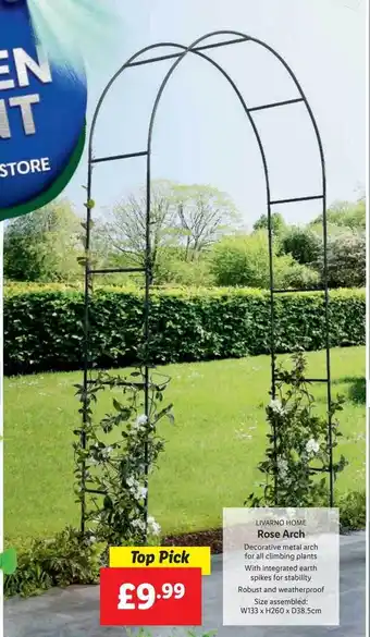 Lidl Livarno home rose arch offer