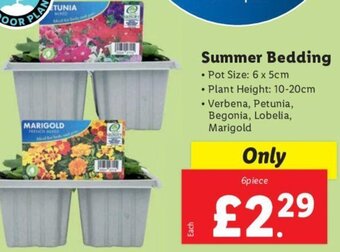 Lidl Summer Bedding offer