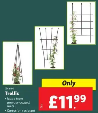 Lidl Livarno Trellis offer