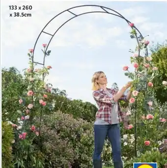 Lidl Livarno Rose Arch/ Garden Obelisk 133 x 260 x 38.5 cm offer