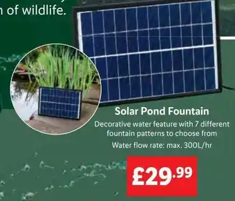 Lidl Solar pond fountain offer