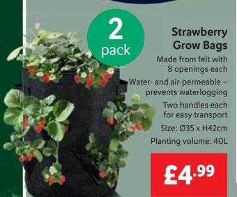 Lidl Strawberry grow bags offer