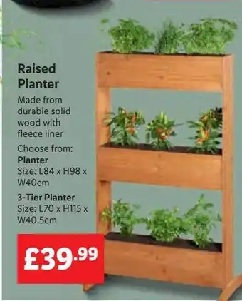Lidl Raised planter offer