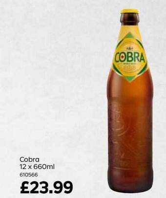 Bestway Cobra offer