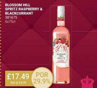 Bestway Blossom hill spritz raspberry & blackcurrant offer