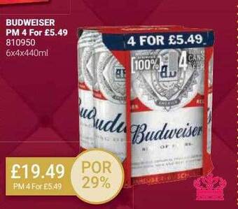 Bestway Budweiser offer