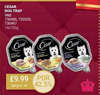 Bestway Cesar dog tray offer