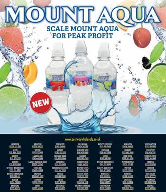 Bestway Mount aqua offer