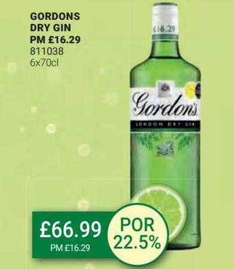 Bestway Gordons dry gin offer