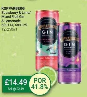 Bestway Kopparberg offer