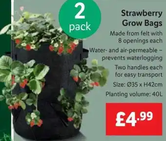 Lidl Strawberry Grow Bags offer