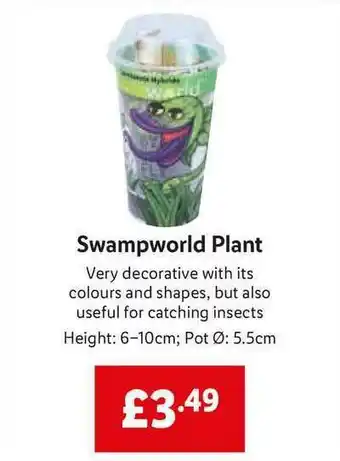 Lidl Swampworld Plant offer