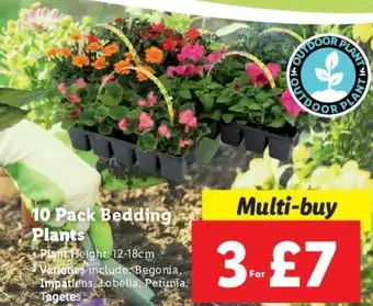 Lidl 10 Pack Bedding Plant Height: 12-18cm Varieties include: Begonia, Impatiens, Lobelia, Petunia, Tagetes offer