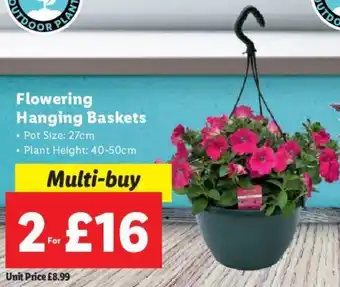 Lidl Flowering Hanging Baskets • Pot Size: 27cm • Plant Height: 40-50cm offer