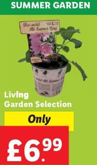 Costco Living Garden Selection offer