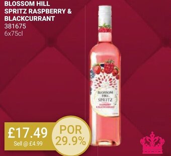 Bestway BLOSSOM HILL SPRITZ RASPBERRY & BLACKCURRANT offer