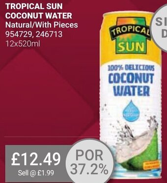 Bestway TROPICAL SUN COCONUT WATER Natural/With Pieces 954729, 246713 12x520ml offer