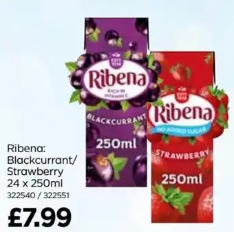 Bestway Ribena: Blackcurrant/ Strawberry 24 x 250ml 322540/322551 offer
