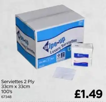 Bestway Serviettes 2 Ply 33cm x 33cm 100's offer