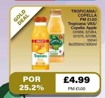 Bestway Tropicana Copella offer
