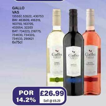 Bestway Gallo Vas offer