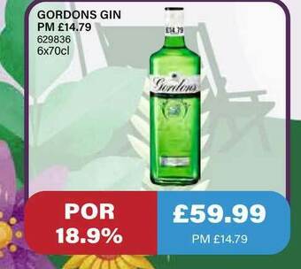 Bestway Gordons Gin offer