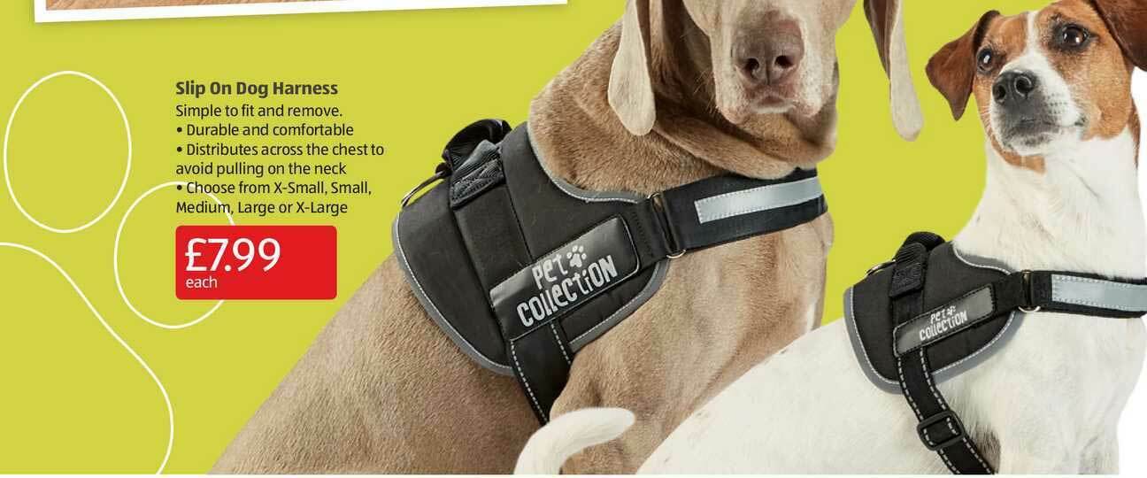 aldi retractable dog lead