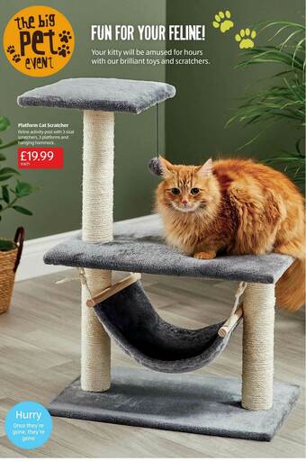 Aldi Platform Cat Scratcher offer