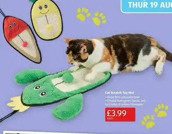 Aldi Cat Scratch Toy Mat offer