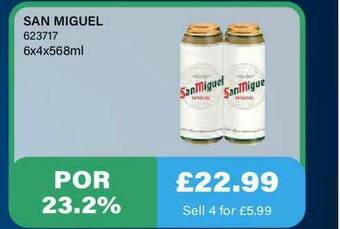 Bestway San Miguel offer