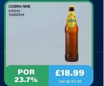 Bestway Cobra Nrb offer