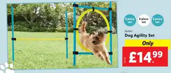 Lidl Zoofari Dog Agility Set offer
