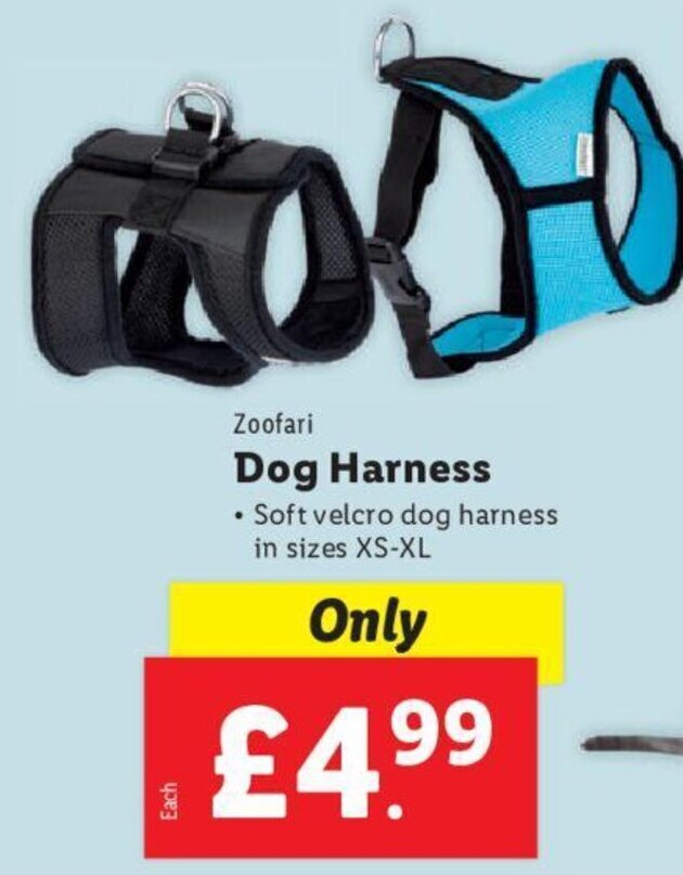 Zoofari Dog Harness offer at Lidl
