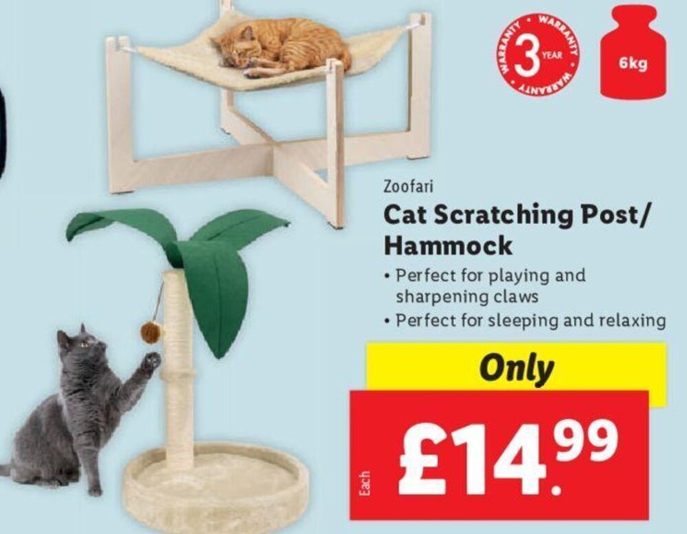 Zoofari Cat Scratching Post/ Hammock offer at Lidl