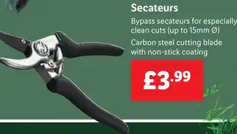 Lidl Secateurs offer