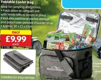Aldi Foldable Cooler Bag offer