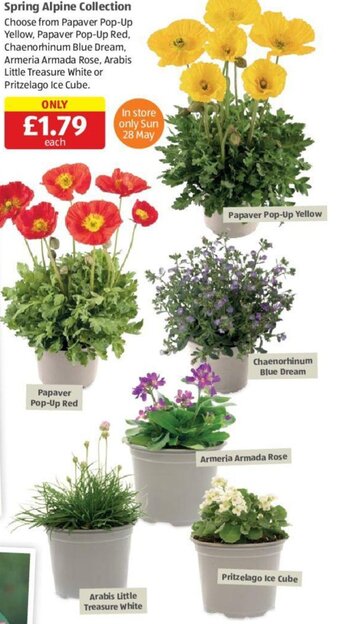 Aldi Spring Alpine Collection offer