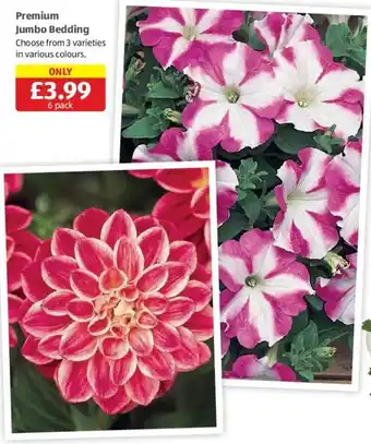 Aldi Premium Jumbo Bedding offer