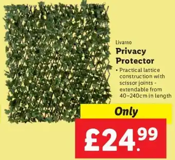 Lidl Livarno Privacy Protector offer