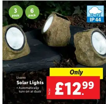 Lidl Livarno Solar Lights offer