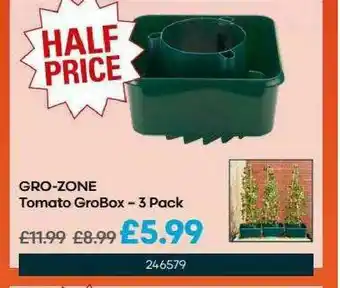 Robert Dyas Gro-Zone Tomato GroBox - 3 Pack offer