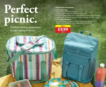 Costco Picnic Cooler/Backpack Picnic Cooler Bag offer
