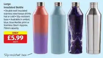 Costco Large Insulated Bottle offer