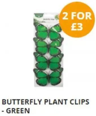 BUTTERFLY PLANT CLIPS - GREEN