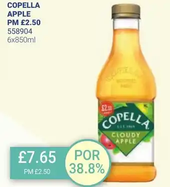 Bestway COPELLA APPLE 6x850ml offer