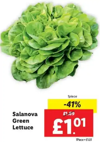 Lidl Salanova Green Lettuce 1piece offer