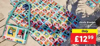 Lidl Picnic Blanket offer