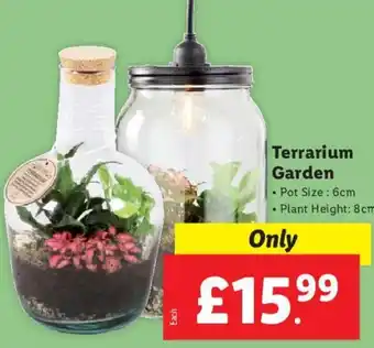 Lidl Terrarium Garden offer