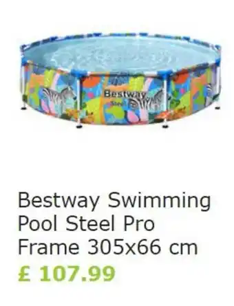 Vida XL Bestway Swimming Pool Steel Pro Frame 305x66cm offer