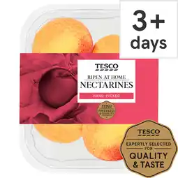 Tesco Tesco nectarines minimum 4 pack offer